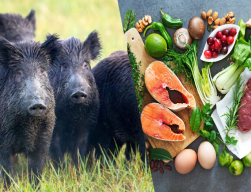 Sicurezza e qualità della filiera lattiero-casearia